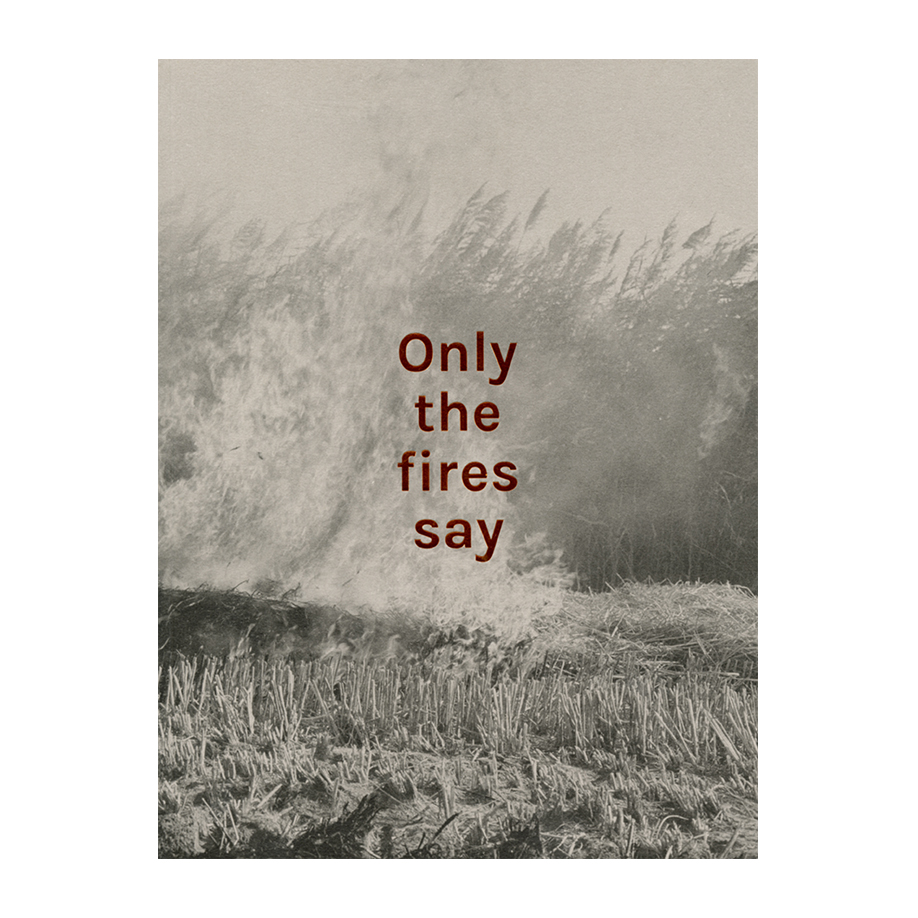 Image of Only the Fires Say (Book) by Alan Eglinton