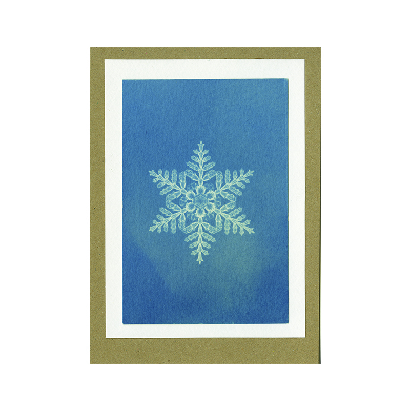Image of Snowflake Cyanotype Card by Mhairi Law
