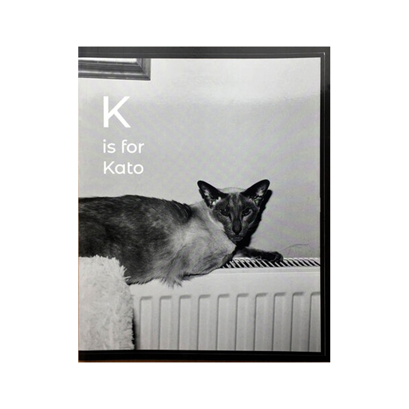 Image of K is for Kato (Book) by Margaret Salmon