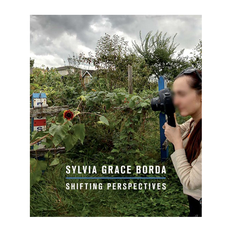 Image of Shifting Perspectives (Book) by Sylvia Grace Borda