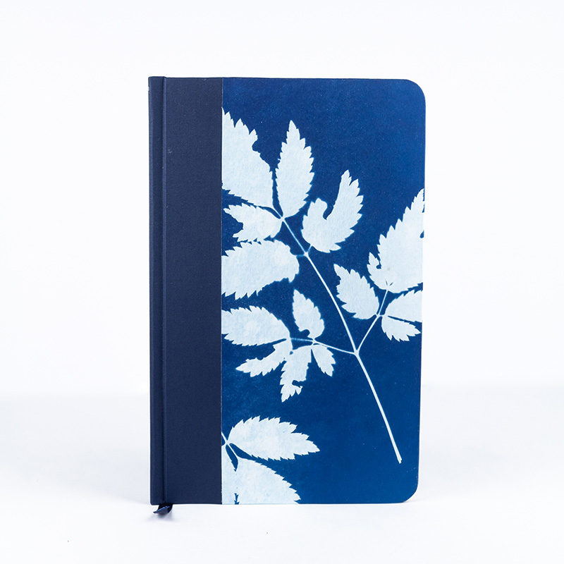 Image of Handmade Cyanotype Sketchbook by Imbued in Blue