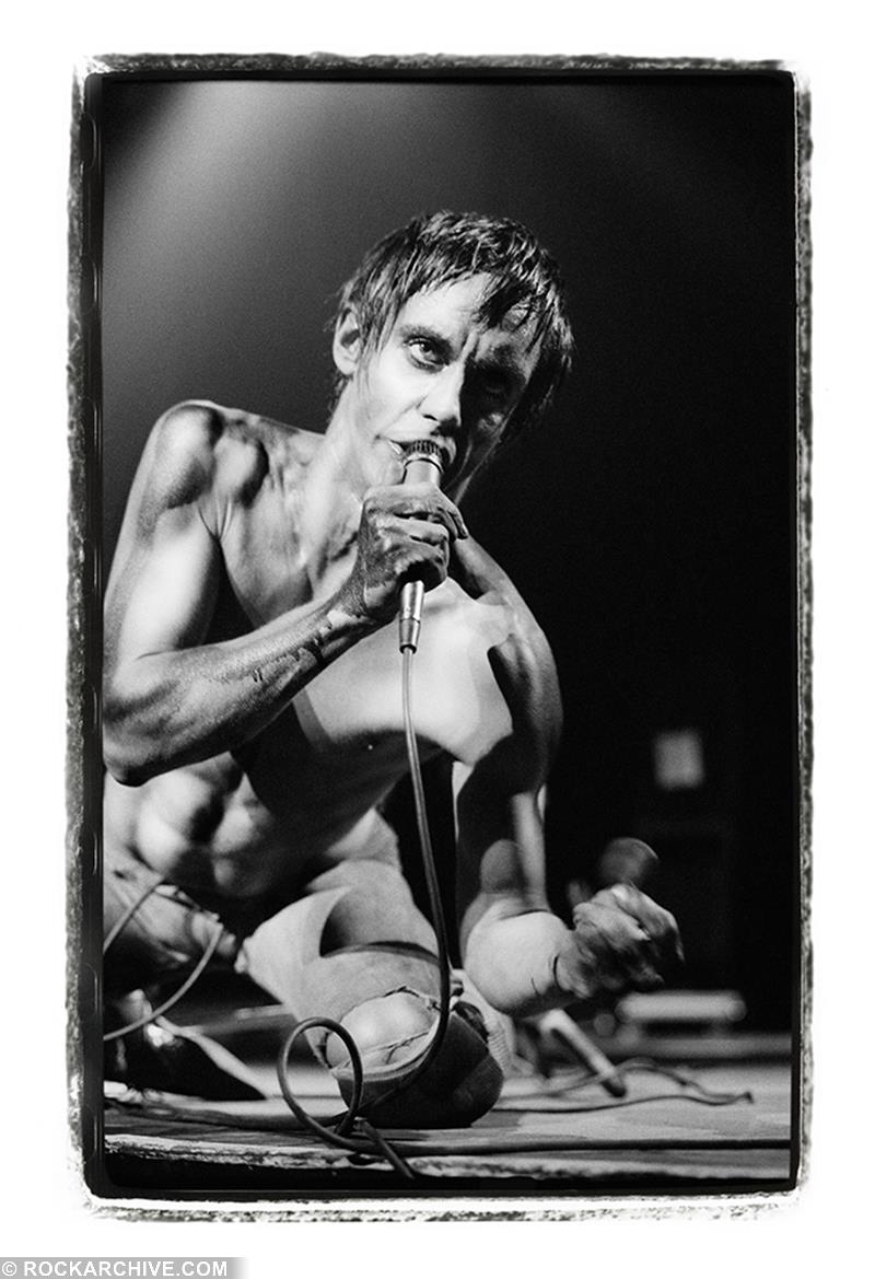 Image of Iggy Pop by Jill Furmanovsky