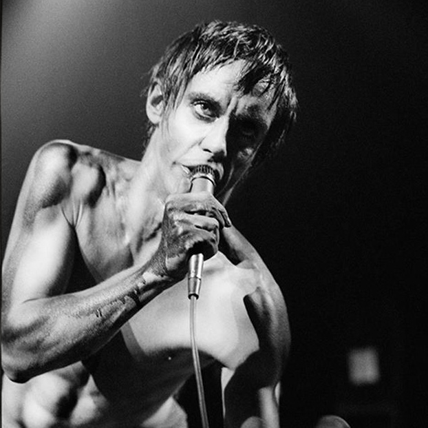 Image of Iggy Pop by Jill Furmanovsky